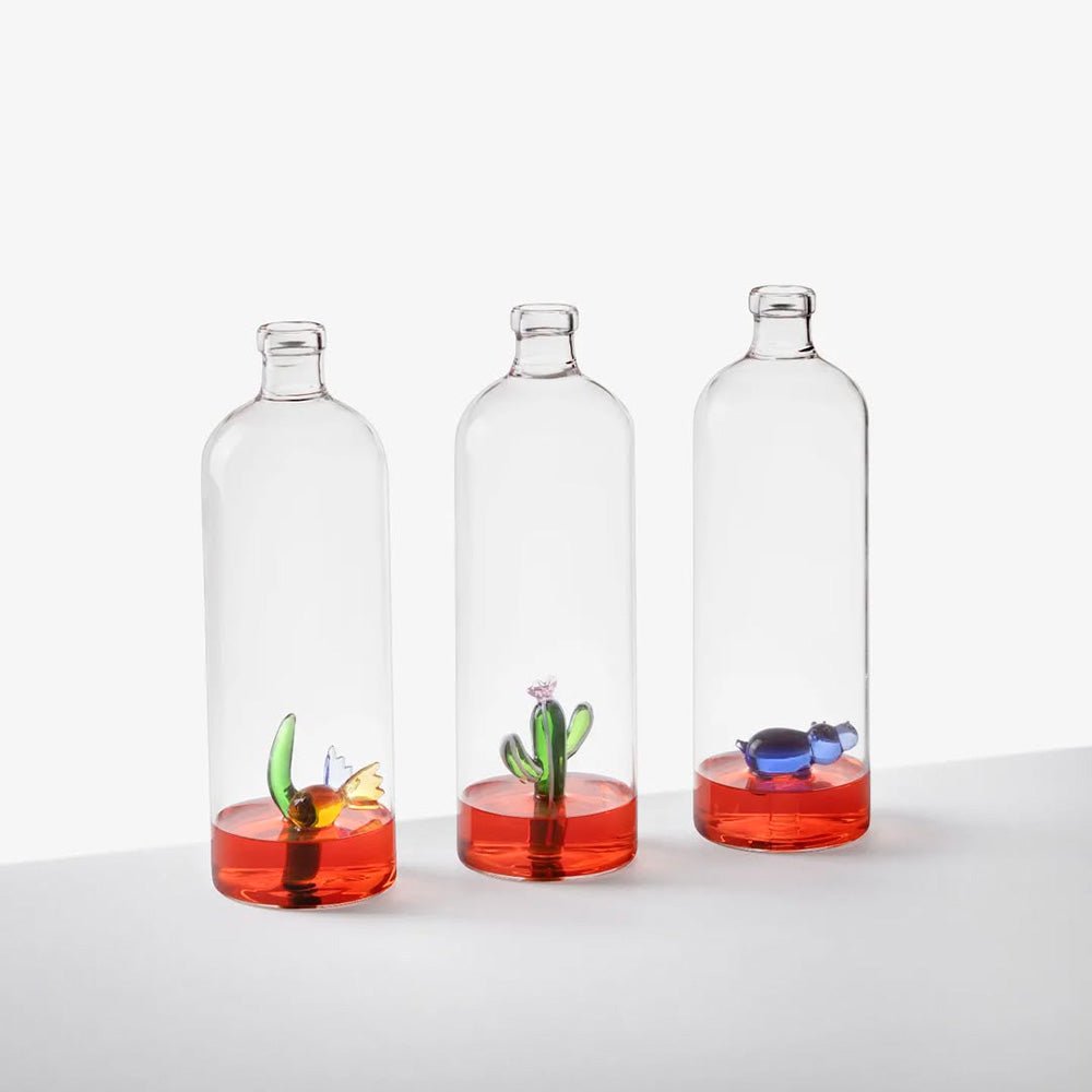 Botella con Plantas de Cactus Verdes del Desierto